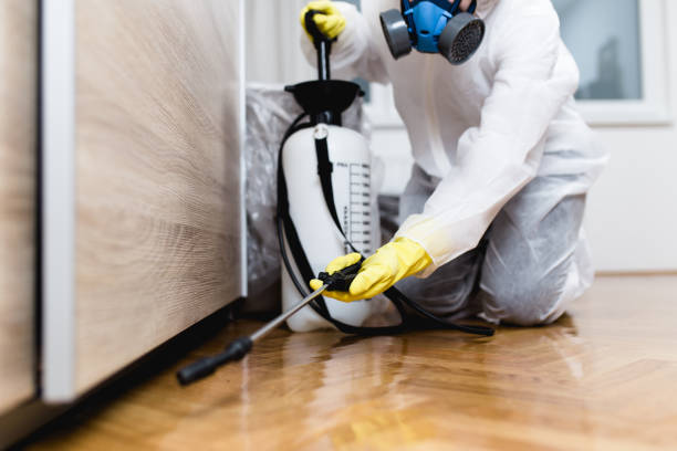 Best Residential Pest Control  in Brooklyn Park, MD