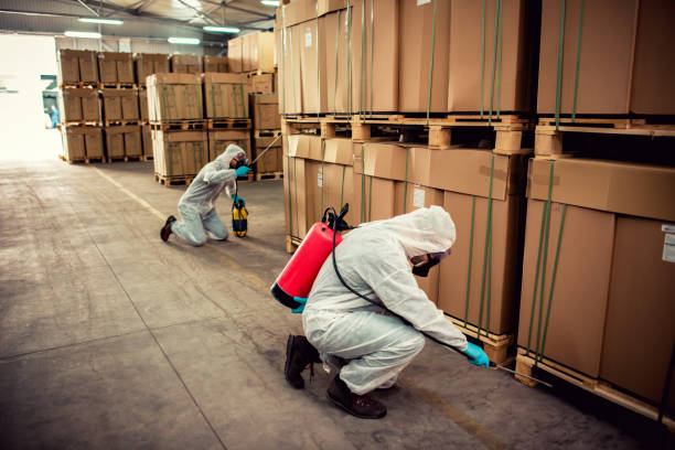 Best Bed Bug Extermination  in Brooklyn Park, MD