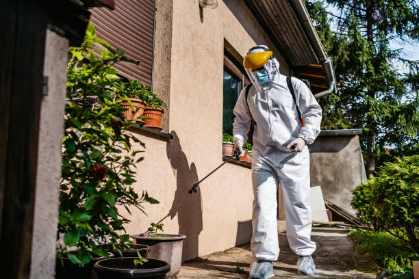 Best Rat Extermination Near Me  in Brooklyn Park, MD