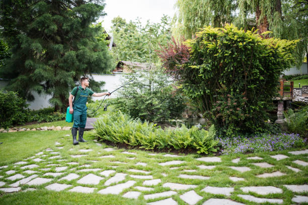 Best Affordable Pest Control Services  in Brooklyn Park, MD