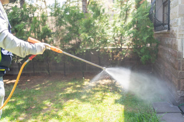 Best Termite Control Services  in Brooklyn Park, MD