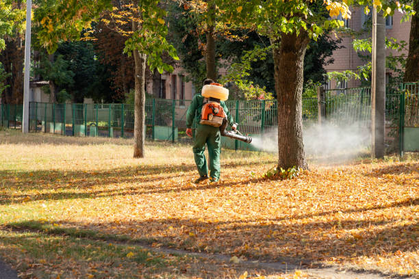 Best Emergency Pest Control  in Brooklyn Park, MD