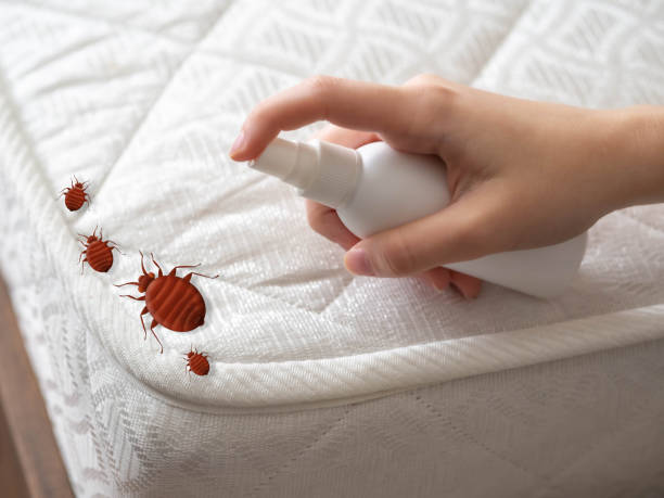 Brooklyn Park, MD Pest Control Company